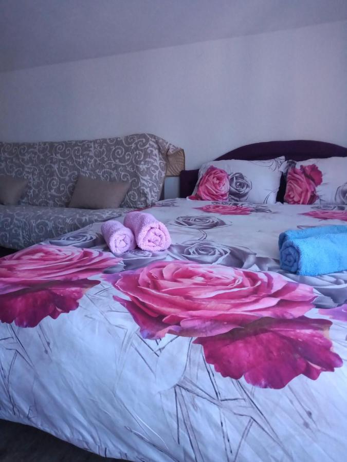 Ferienwohnung Lela Josanicka Banja Exterior foto